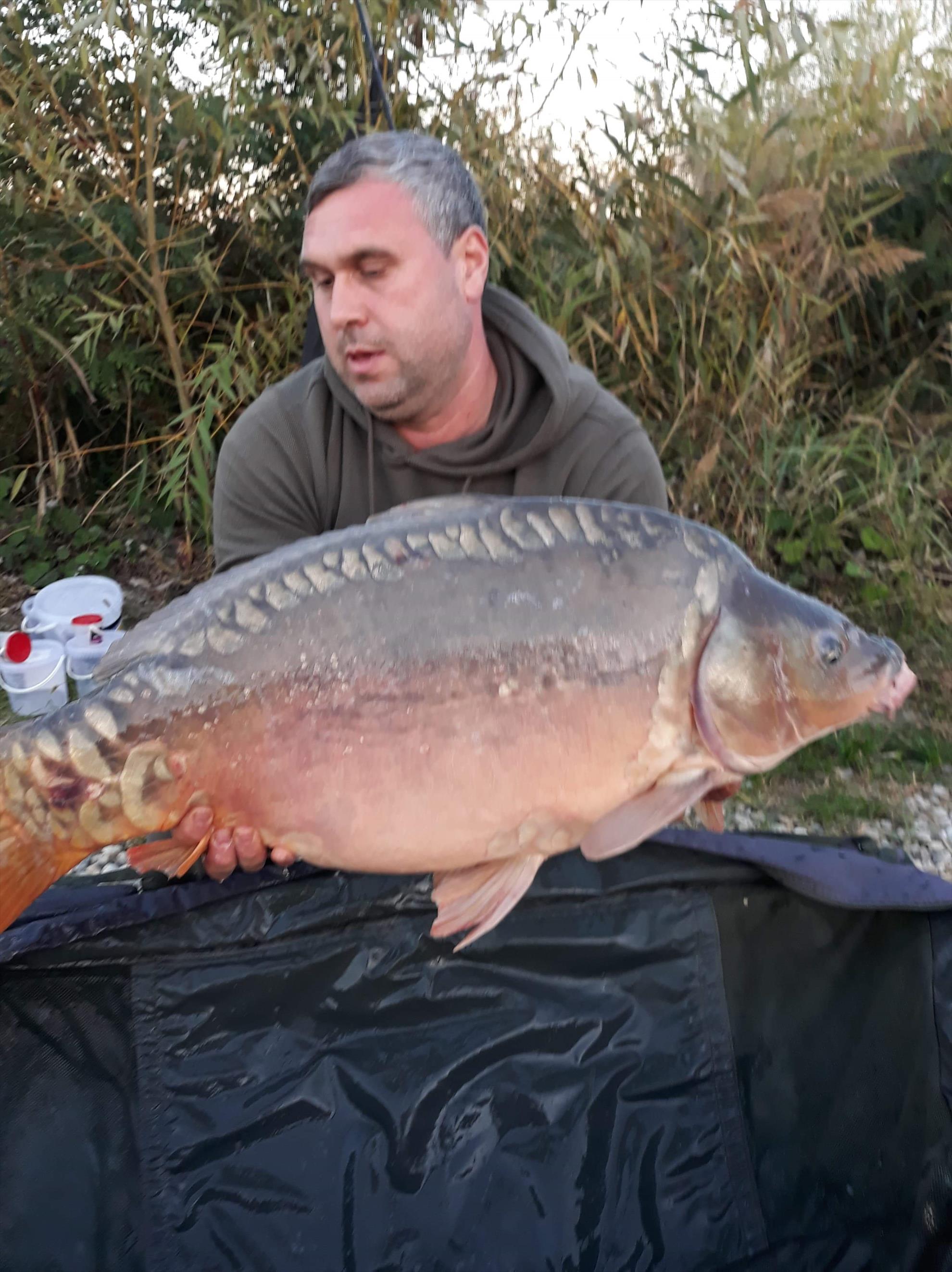 Varlaam 2018 oct - received179360819637748.jpeg